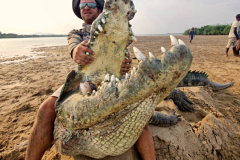 Crocodile hunting in Mozambique.
