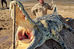 Crocodile hunting in Mozambique.