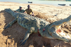 Crocodile hunting in Mozambique.