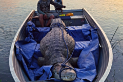 Crocodile hunting in Mozambique.