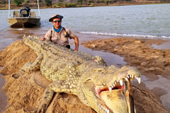 Crocodile hunting in Mozambique.
