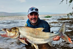 Goliath tiger fishing Congo