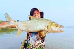 Goliath tiger fishing Congo