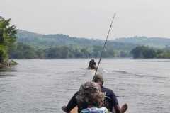 Goliath tiger fishing Congo