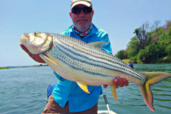 1_Tiger-fish-Zambezi-River-Tete