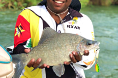 Mixed-species-Zambezi-River-5
