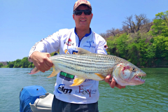 Tiger-fish-Zambezi-River