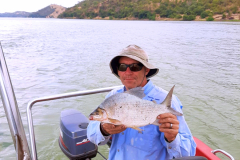 Website-mixed-species-4