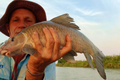 Website-mixed-species-7