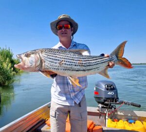 Tiger fishing on the Zambezi