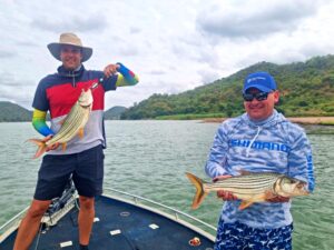 Tiger fishing Boroma fishing camp
