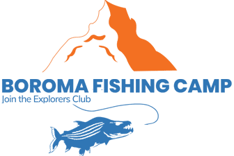 footer-logo
