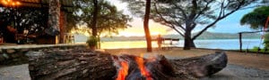 Tiger fishing Boroma fishing camp