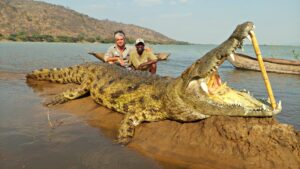 Crocodile hunting in Tete Mozambique