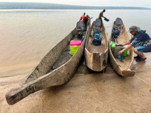 Goliath tiger fishing in the Congo with Boroma fishing camp