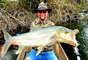 Goliath tiger fishing on the Congo River with Boroma Fishing Camp